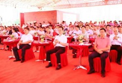 湛江一中最新爆料,揭秘校园风云背后的故事